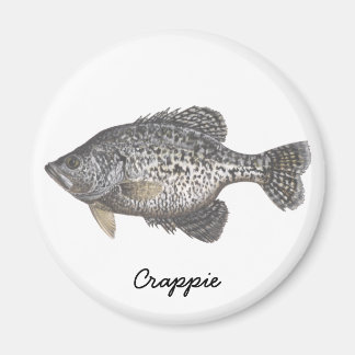 CRAPPIE, Crappie Magneet