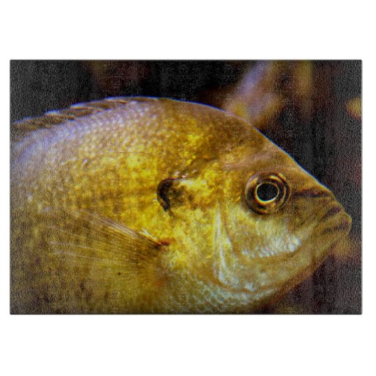 Crappie Fish Outdoorsman Snijplank (Voorkant)