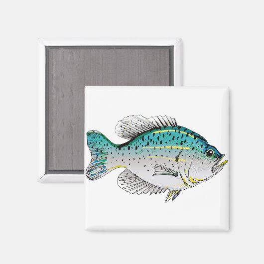 Crappie Magneet (Voorkant / Achterkant)