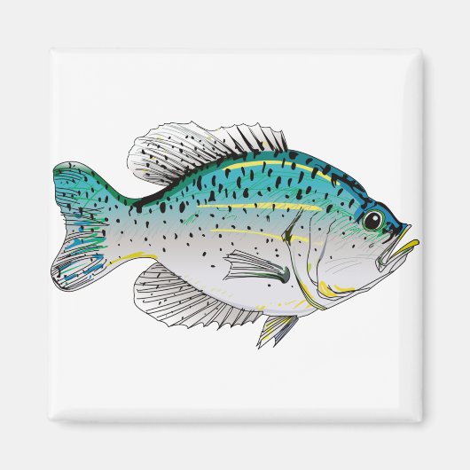 Crappie Magneet (Voorkant)