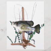 Crappie Mount (Voorkant)