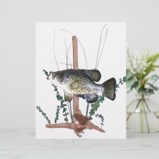 Crappie Mount (Staand voorkant)