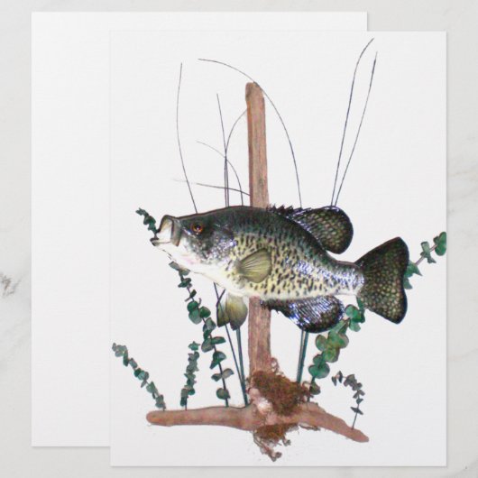 Crappie Mount (Voorkant / Achterkant)