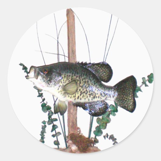 Crappie Mount Ronde Sticker (Voorkant)