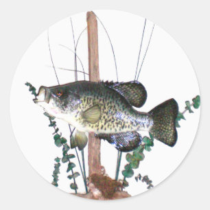 Crappie Mount Ronde Sticker