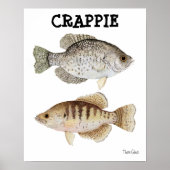 Crappie Poster (Voorkant)