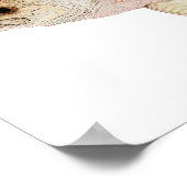 Crappie Poster (Hoek)