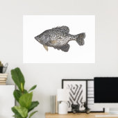 Crappie Poster (Thuiskantoor)
