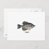 Crappie (titel) briefkaart (Voorkant / Achterkant)