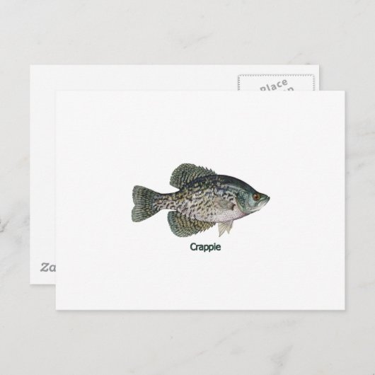 Crappie (titel) briefkaart (Voorkant / Achterkant)