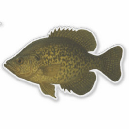 Crappie Uitknip Sticker