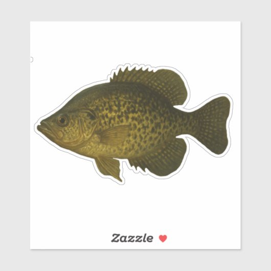 Crappie Uitknip Sticker (Vel)
