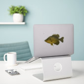 Crappie Uitknip Sticker (Laptop op bureau)