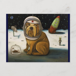 Crash 2 niet meer! briefkaart