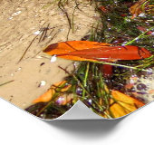 Crashing golven Kleurrijke bladeren Poster (Hoek)