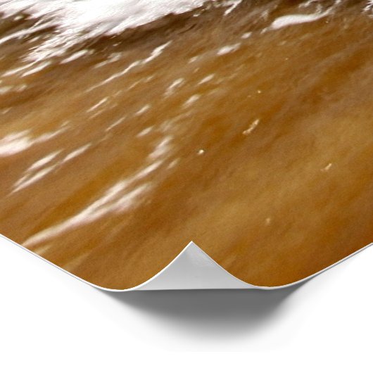 CrashWaves in Maui Poster (Hoek)