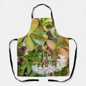 Crassula ovata All Over Print Schort (Voorkant)