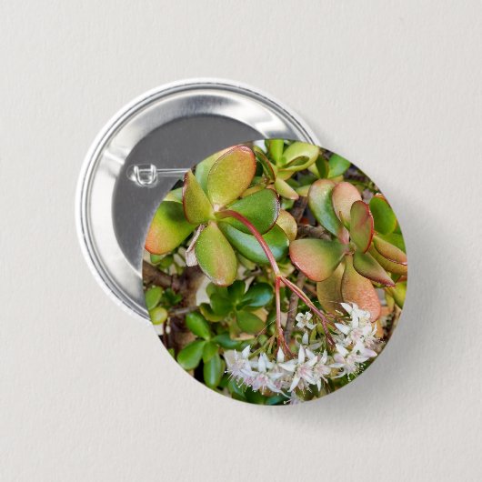 Crassula ovata Badge Ronde Button 5,7 Cm (Voorkant /achterkant)