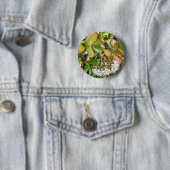 Crassula ovata Badge Ronde Button 5,7 Cm (In situ)