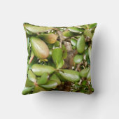 Crassula ovata Kussen voor gooien (Achterkant)