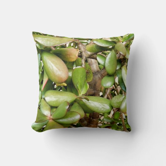 Crassula ovata Kussen voor gooien (Voorkant)