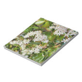 Crassula ovata notitieblok (Linkerzijde)