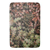 Crassula perforata badmat (Voorkant Verticaal)