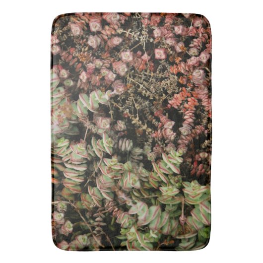 Crassula perforata badmat (Voorkant Verticaal)