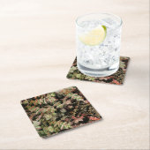 Crassula perforata kartonnen onderzetters (Insitu)