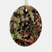 Crassula perforata keramisch ornament (Rechts)