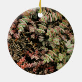 Crassula perforata keramisch ornament (Achterkant)