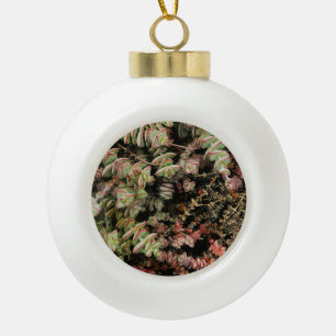 Crassula perforata keramische bal ornament