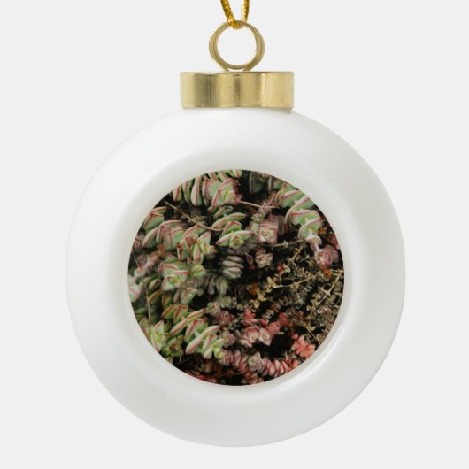 Crassula perforata keramische bal ornament (Voorkant)