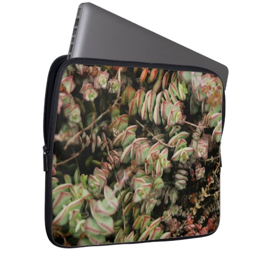Crassula perforata laptop sleeve (Voorkant Rechts)