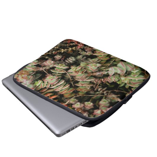 Crassula perforata laptop sleeve (Voorkant onderkant)