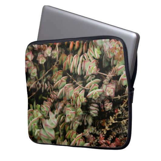 Crassula perforata laptop sleeve (Voorkant Links)
