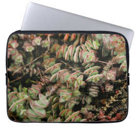 Crassula perforata laptop sleeve