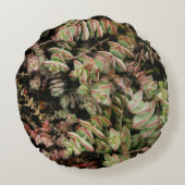 Crassula perforata rond kussen (Achterkant)