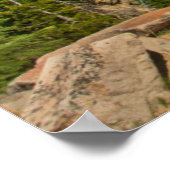 Crater Lake and Wizard Island, Crater Lake Poster (Hoek)