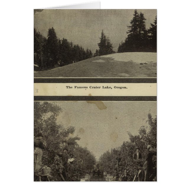 Crater Lake Oregon Orchard scene (Voorkant)