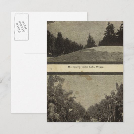 Crater Lake Oregon Orchard scene Briefkaart (Voorkant / Achterkant)