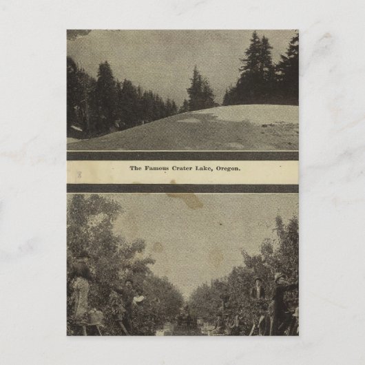 Crater Lake Oregon Orchard scene Briefkaart (Voorkant)