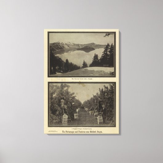 Crater Lake Oregon Orchard scene Canvas Afdruk (Voorkant)