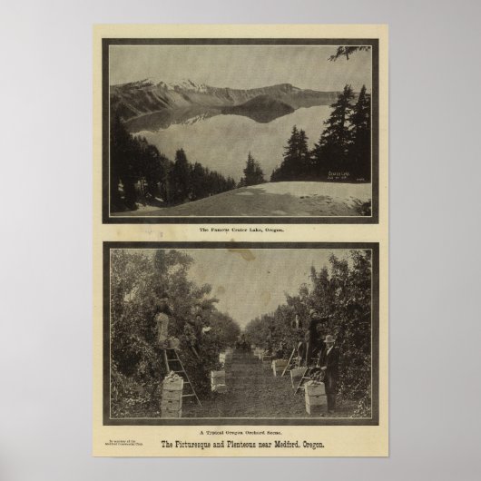 Crater Lake Oregon Orchard scene Poster (Voorkant)