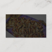 Crawdads Visitekaartje (Achterkant)