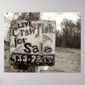 Crawfish [Kunstdruk] Poster (Voorkant)