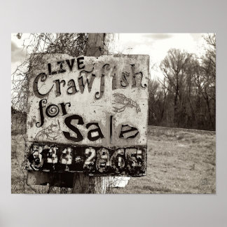 Crawfish [Kunstdruk] Poster