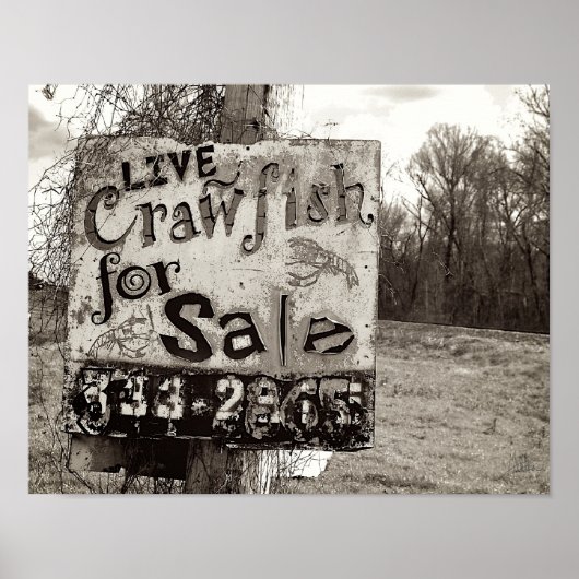Crawfish [Kunstdruk] Poster (Voorkant)