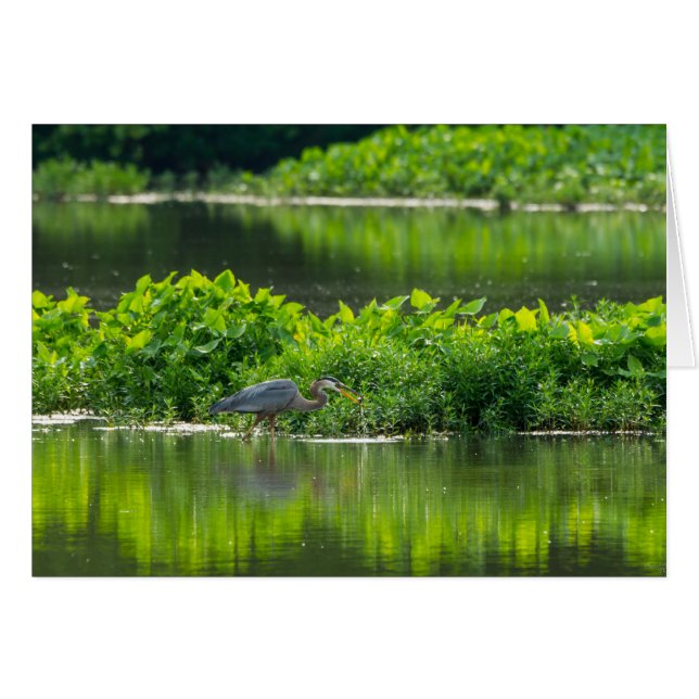 Crawfish Meal Time (Voorkant Horizontaal)
