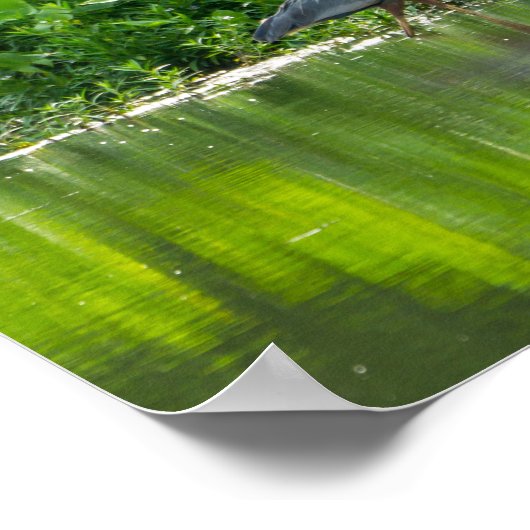 Crawfish Meal Time Poster (Hoek)